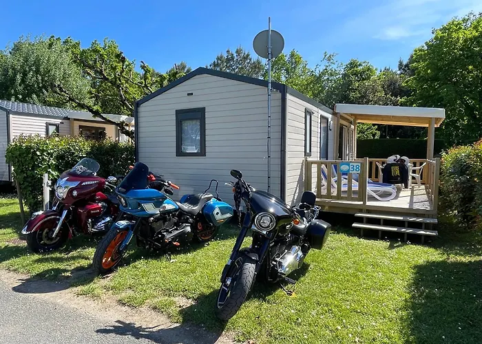 Le Héron Dolus d'Oléron