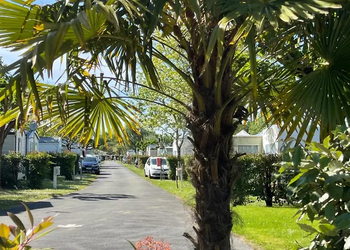 Le Heron * Dolus-d'Oleron